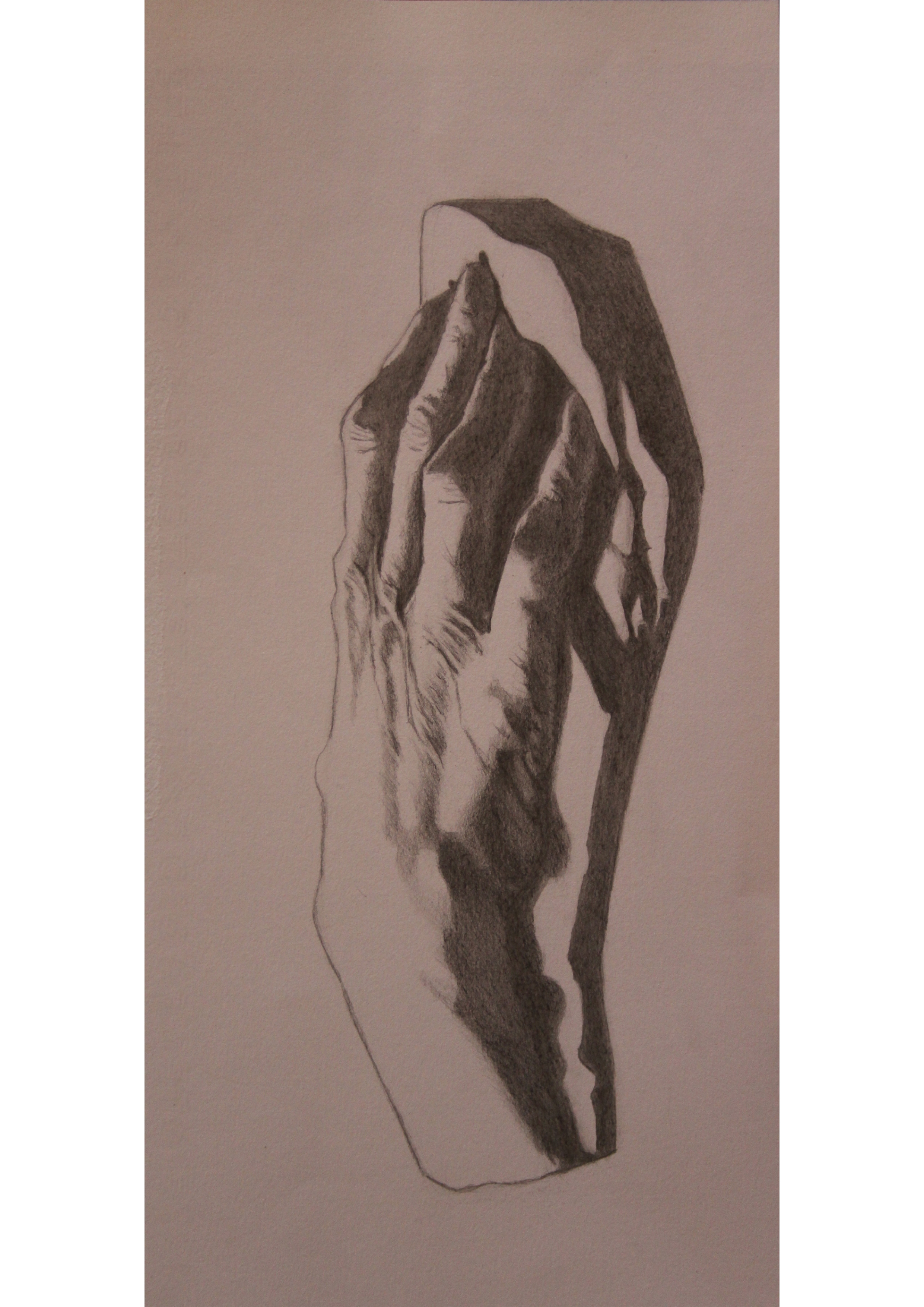 Drawing of an elderly hand