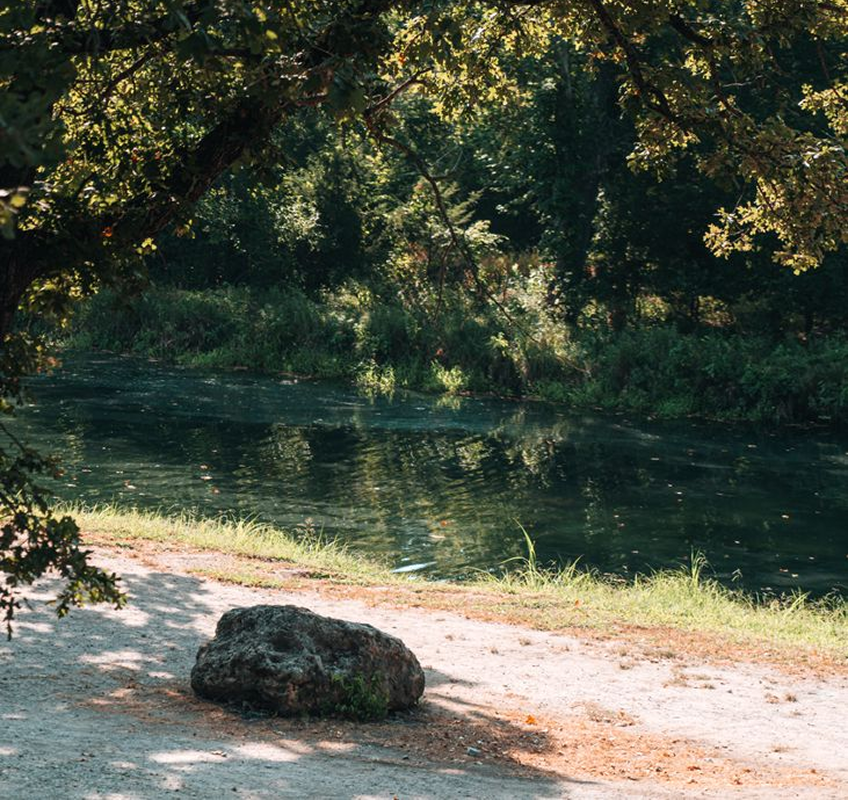 Photo of a small path in nature along a river.