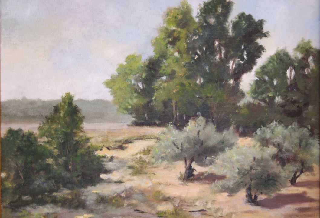A Provençal landscape featuring olive trees